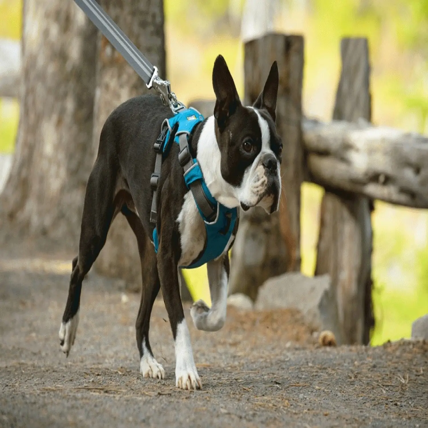  - Ruffwear Front Range™ Harness